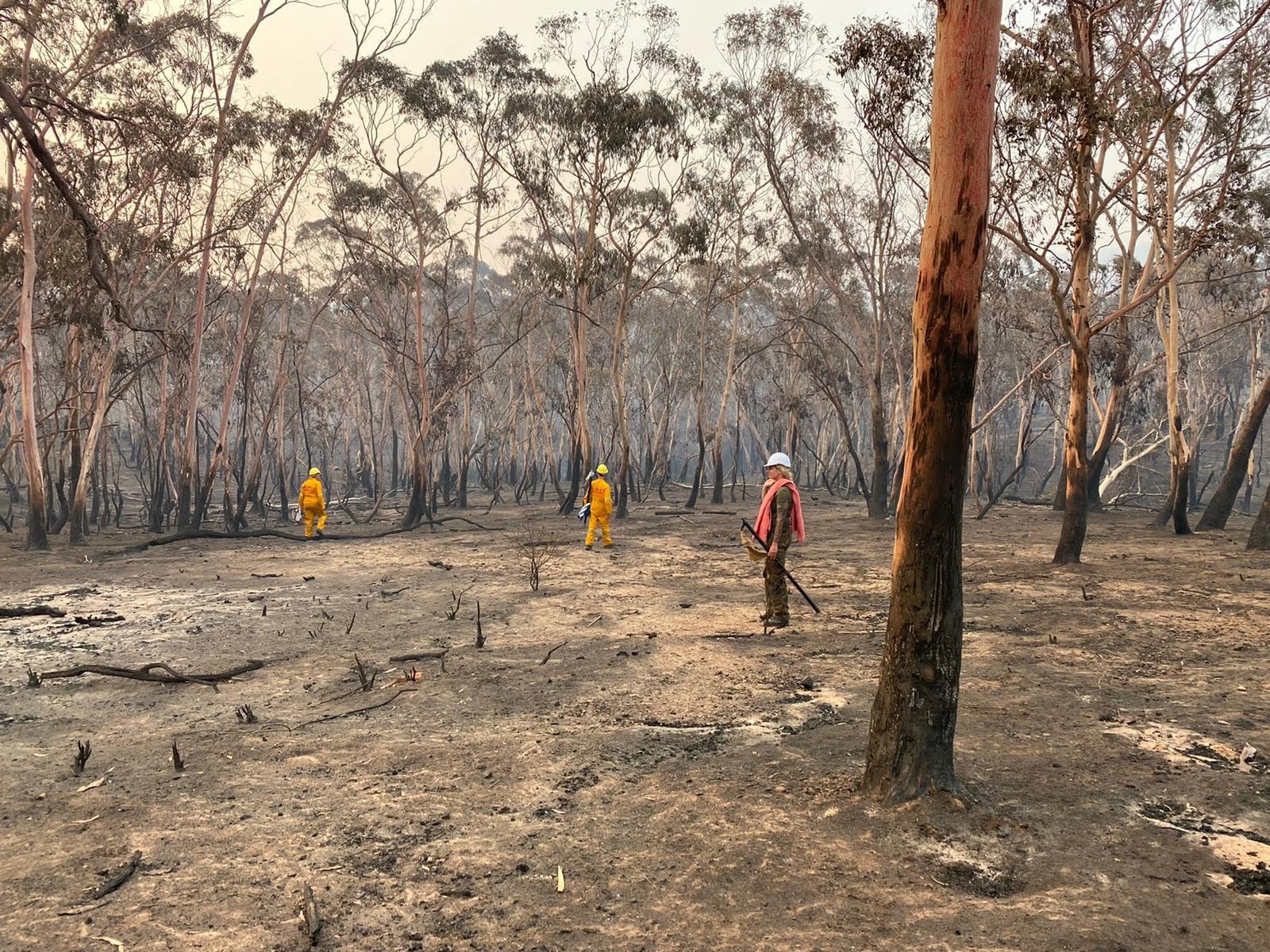Buschbrand-Katastrophenhilfe des Bundesverbandes in Australien 2020 (9/10)