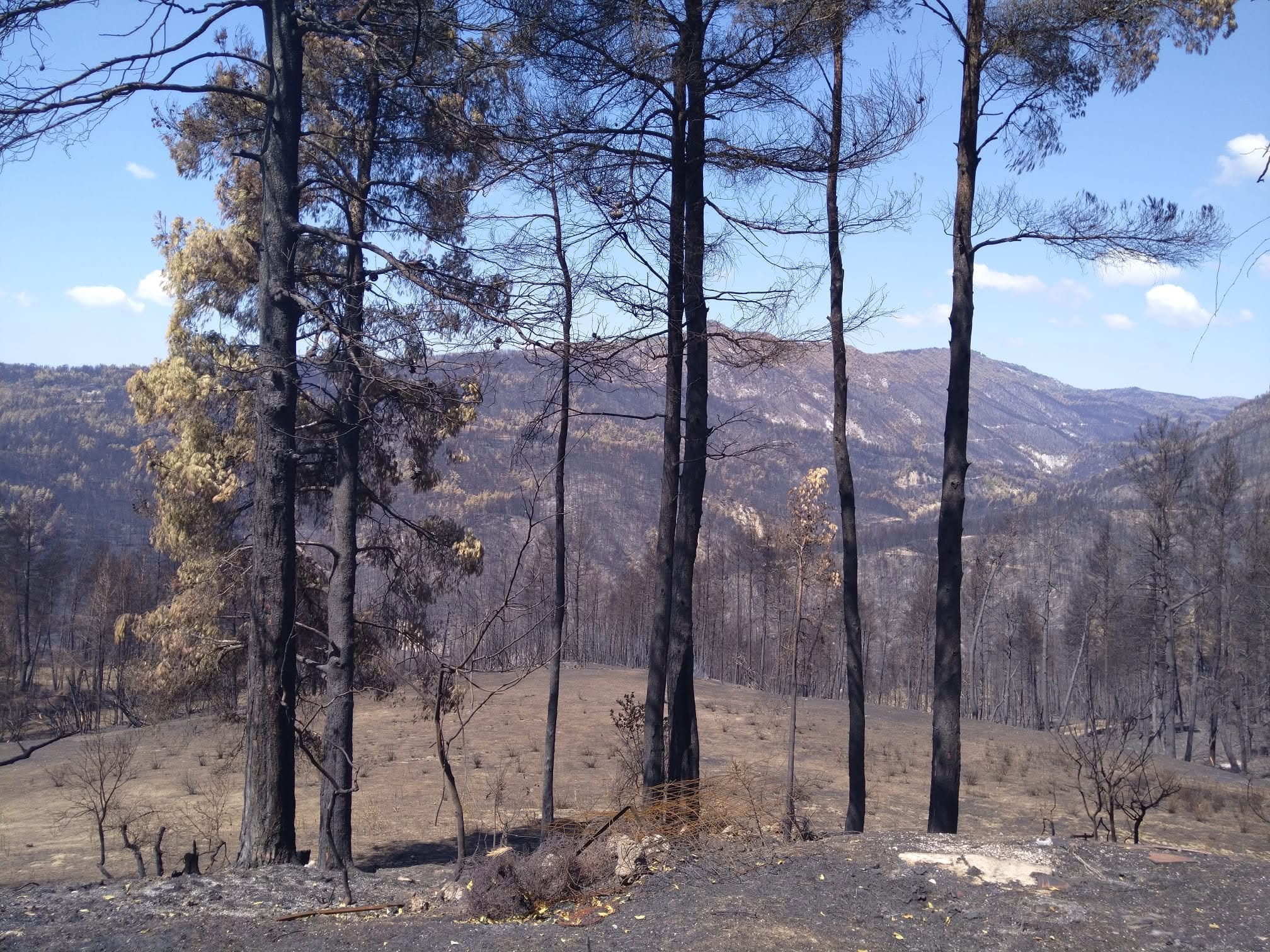 Einsatz der ADRG bei den Waldbränden in Griechenland 2021 (5/7)